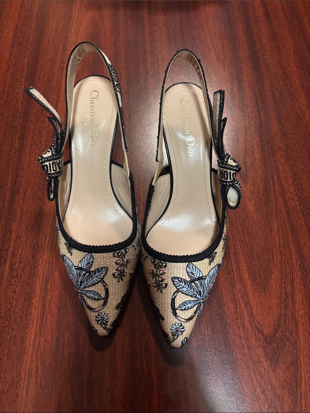 Dior Beige Embroidered Pointed Slingback Heels with Blue Floral Detail
